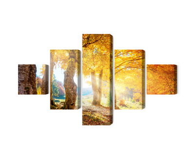 Ljuddämpande tavla - Sunny autumn forest