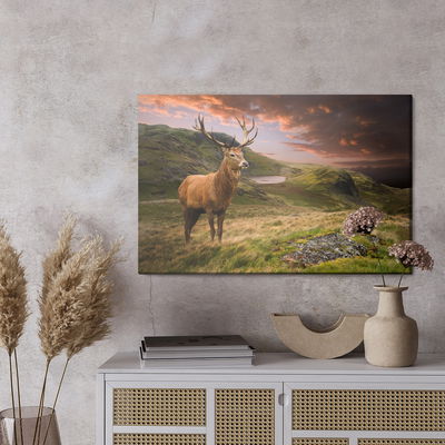 Ljuddämpande tavla - A deer on a background