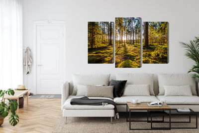 Ljuddämpande tavla - 3d sunny forest landscape