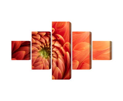 Ljuddämpande tavla - Orange chrysanthemum