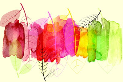 Ljuddämpande tavla - Watercolor leaves with fall