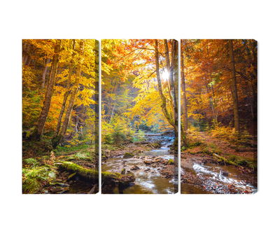 Ljuddämpande tavla - 3d autumn forest landscape