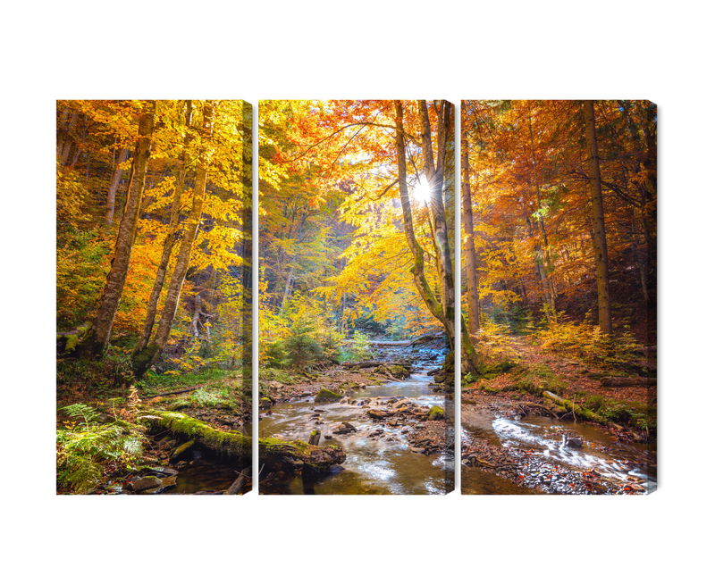 Ljuddämpande tavla - 3d autumn forest landscape