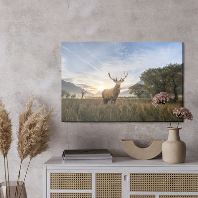 Ljuddämpande tavla - Deer on the background