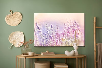Ljuddämpande tavla - Lavender flowers bathed