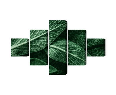 Ljuddämpande tavla - Salvia leaves on a macro