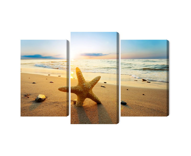 Ljuddämpande tavla - Starfish on the beach 3d
