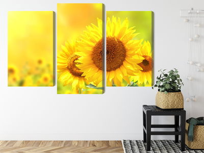 Ljuddämpande tavla - Blooming sunflowers 3d