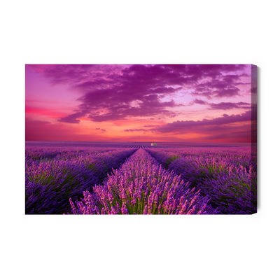 Ljuddämpande tavla - Lavender blooming field