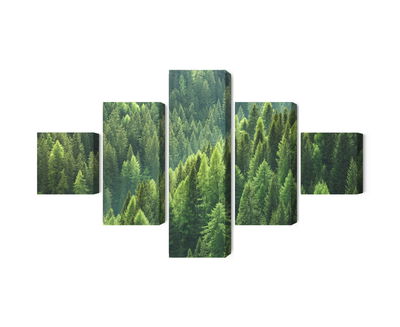 Ljuddämpande tavla - The green of the forest