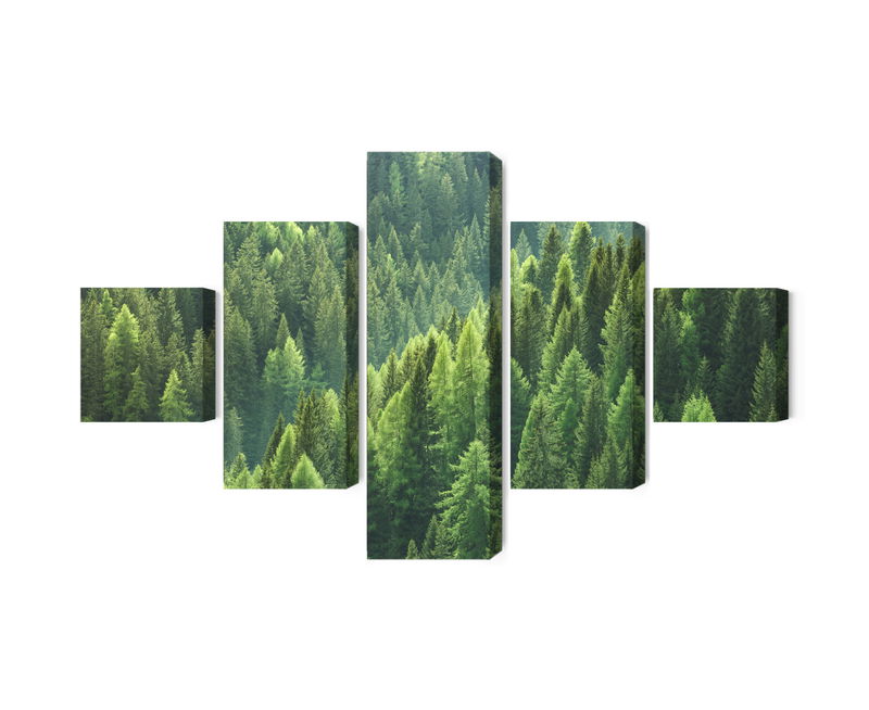 Ljuddämpande tavla - The green of the forest