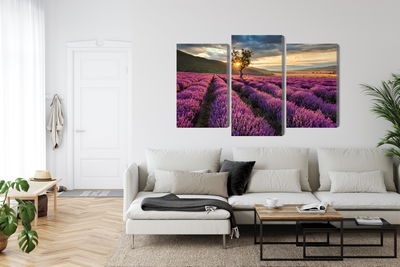 Ljuddämpande tavla - Lavender field at sunset 3d