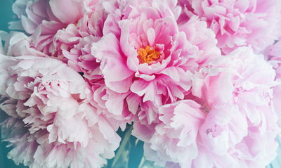 Ljuddämpande tavla - 3d peony bouquet