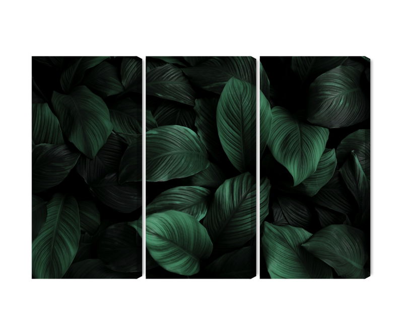 Ljuddämpande tavla - Green leaves on a macro scale