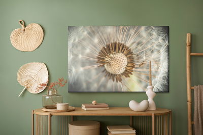 Ljuddämpande tavla - Dandelion close up