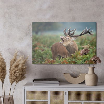 Ljuddämpande tavla - Adult deer in the rut