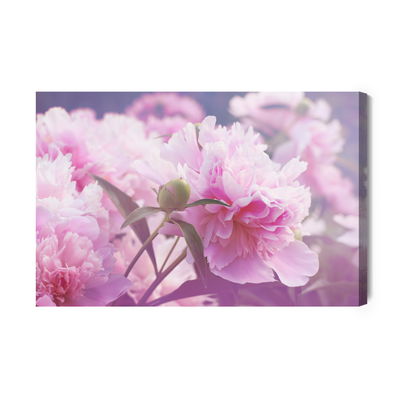 Ljuddämpande tavla - Bright peonies roses