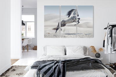 Ljuddämpande tavla - Horse in the desert 3d