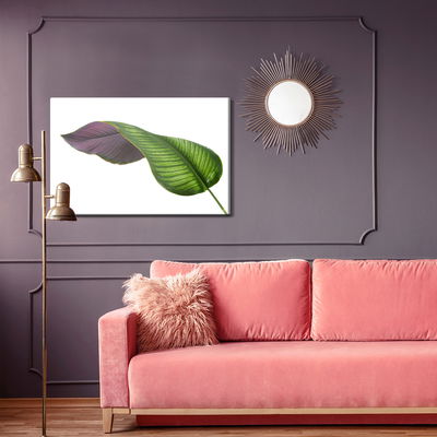 Ljuddämpande tavla - Calathea leaf