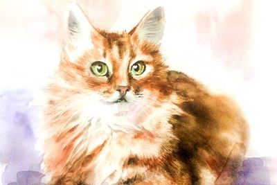 Ljuddämpande tavla - A cat like painted