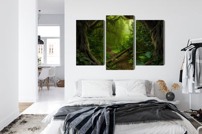 Ljuddämpande tavla - Path in the tropical forest