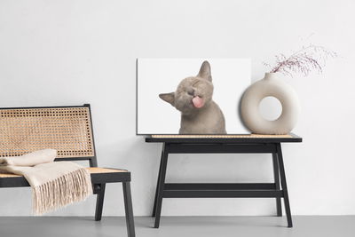 Ljuddämpande tavla - Lovely kitten