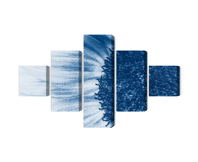 Ljuddämpande tavla - Blue sunflower on a macro