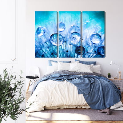 Ljuddämpande tavla - Dew drops on dandelion seeds