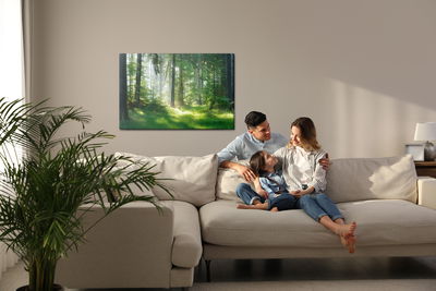 Ljuddämpande tavla - The sun peeks into the forest