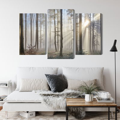 Ljuddämpande tavla - Sunrise in the woods