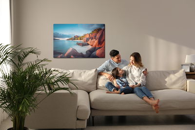 Ljuddämpande tavla - Anse source d'argent beach