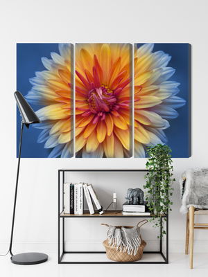 Ljuddämpande tavla - Chrysanthemum flower close