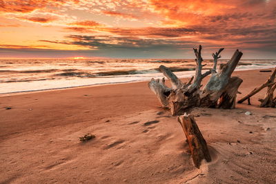 Ljuddämpande tavla - Sunset on the beach