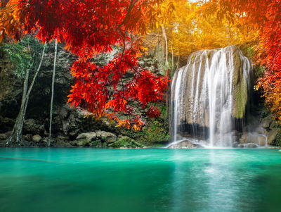 Ljuddämpande tavla - Cascade in the autumn forest