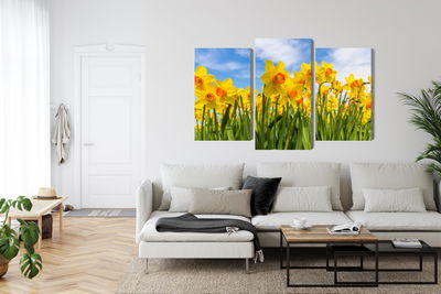 Ljuddämpande tavla - Daffodil field 3d