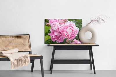 Ljuddämpande tavla - Peony flowers