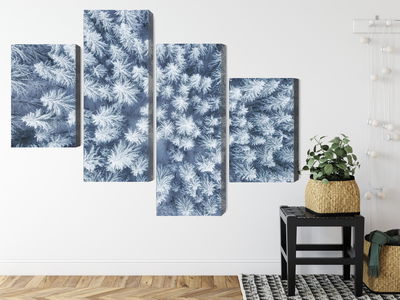 Ljuddämpande tavla - Aerial view of the winter