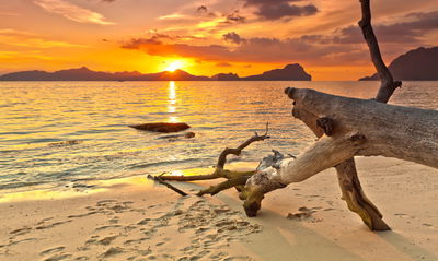Ljuddämpande tavla - Sea landscape at sunset