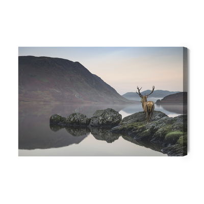 Ljuddämpande tavla - Deer by the lake