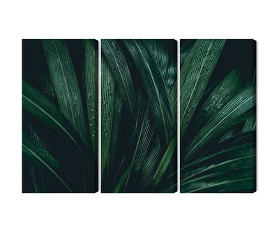 Ljuddämpande tavla - Dark green leaves on a macro