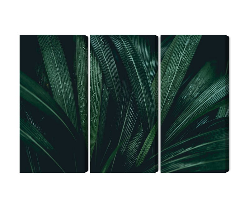 Ljuddämpande tavla - Dark green leaves on a macro