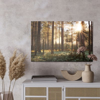 Ljuddämpande tavla - Sunrise in the coniferous