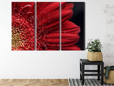 Ljuddämpande tavla - Flower petals on a macro