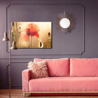 Ljuddämpande tavla - Poppies in the sun