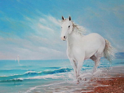 Ljuddämpande tavla - White horse on the seashore