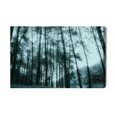 Ljuddämpande tavla - Birch tree forest