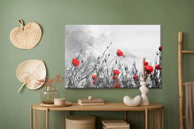 Ljuddämpande tavla - Red poppies on a black