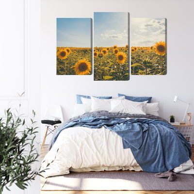 Ljuddämpande tavla - Sunflower field on a summer