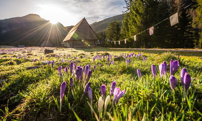 Ljuddämpande tavla - Chocholowska valley
