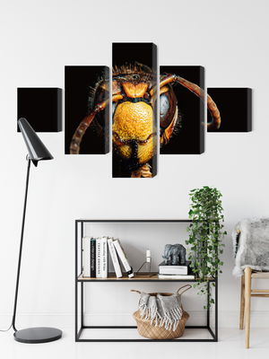 Ljuddämpande tavla - Hornet on a macro scale